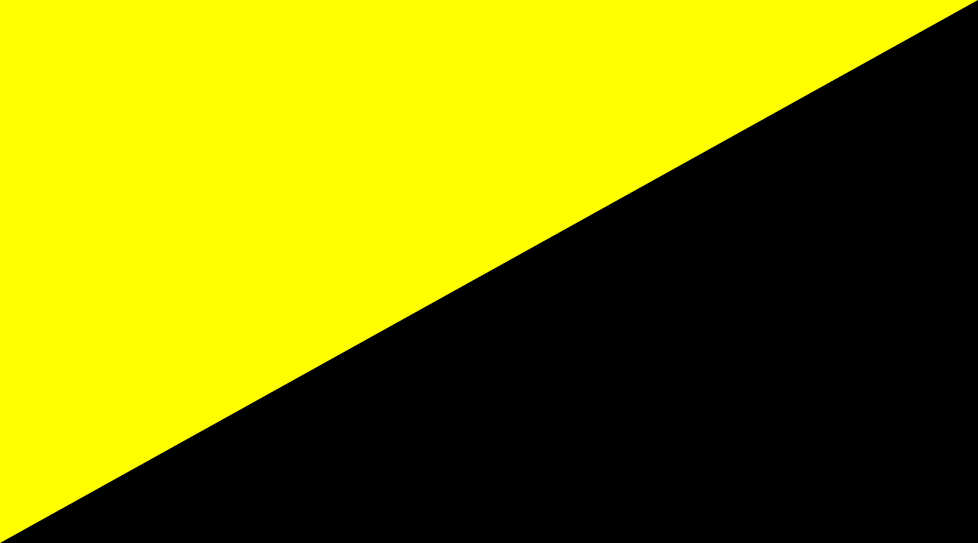 Bandeira anarcocapitalismo