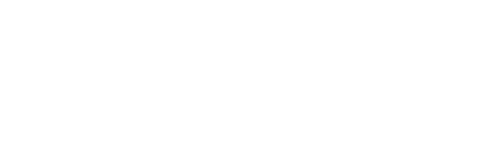 Civicus-Logotipo-Branco-PNG-1-1.png