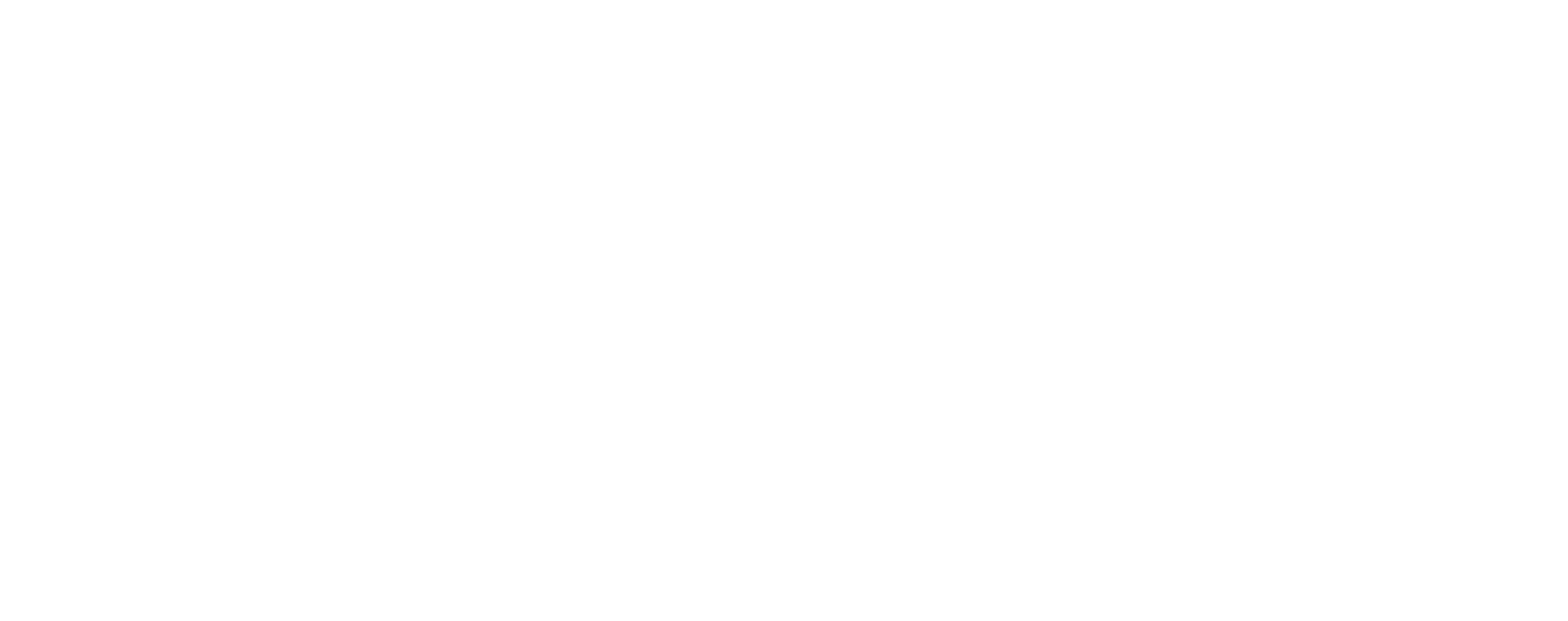 Logo-OuroBornancini2022-Branca.png