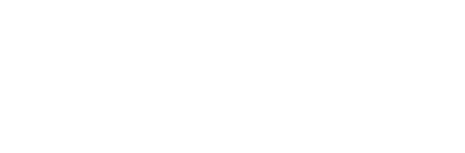 PLOOMES_Imagotipo_Outlines_Branco_Horizontal-1.png