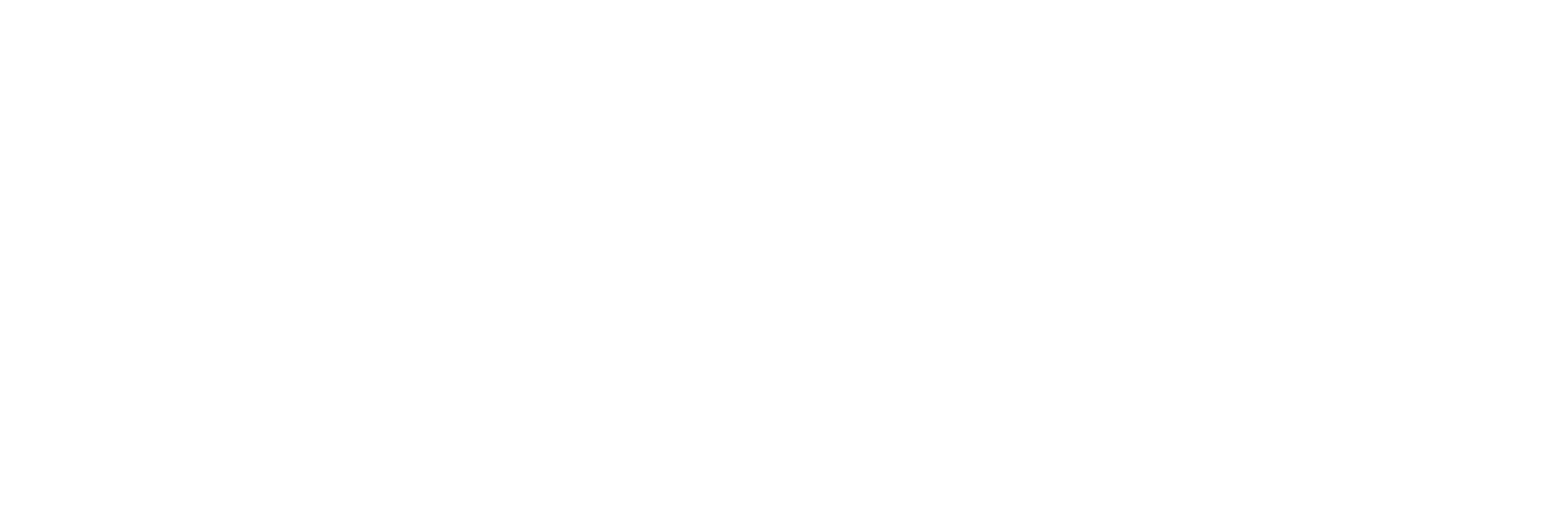logo-sem-fundo