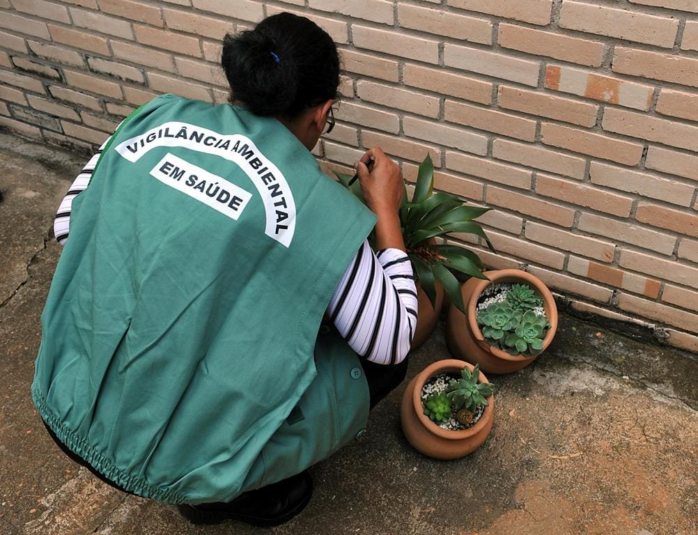 Texto: Zika Vírus: entenda a doença