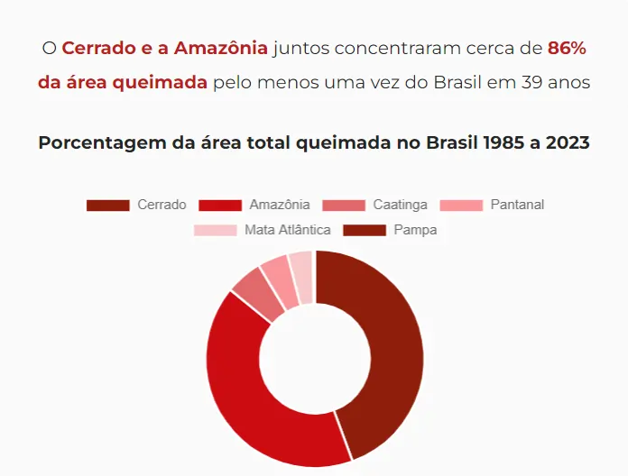 Dados em forma de gráfico que mostra porcentagem total de queimada entre 1985 e 2023, dando destaque para o Cerrado e a Amazônia.