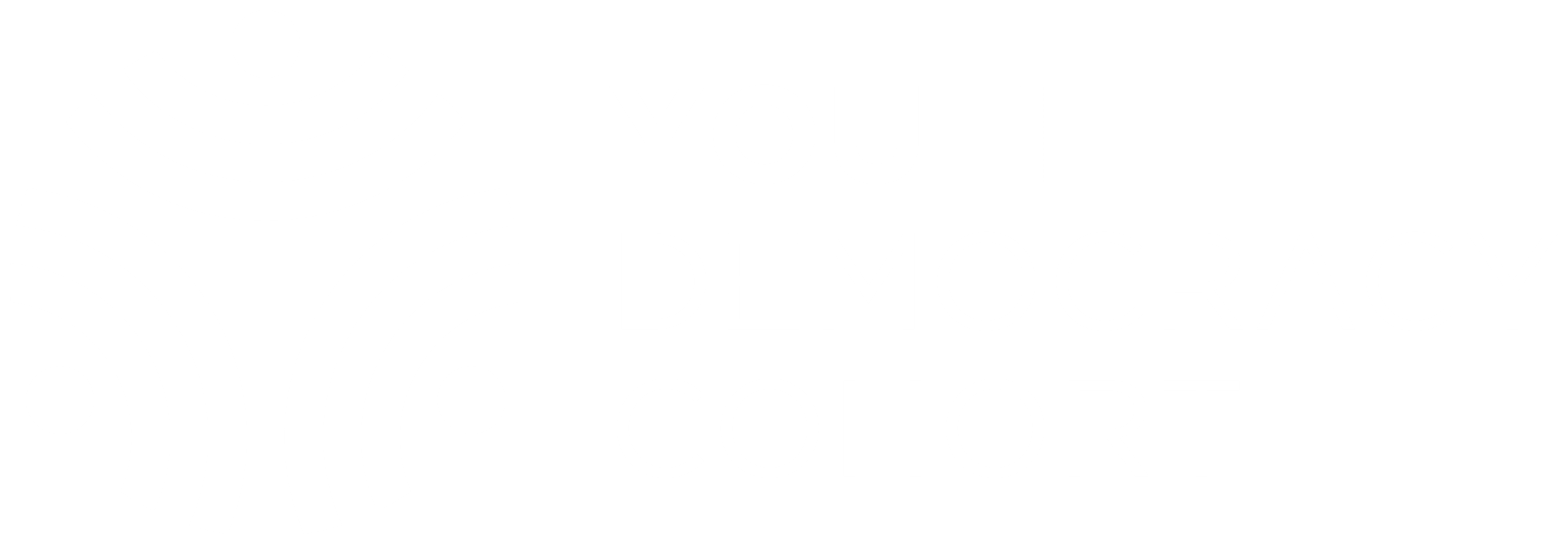 logo white