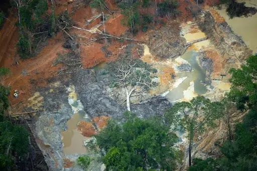 Floresta amazônica desmatada
