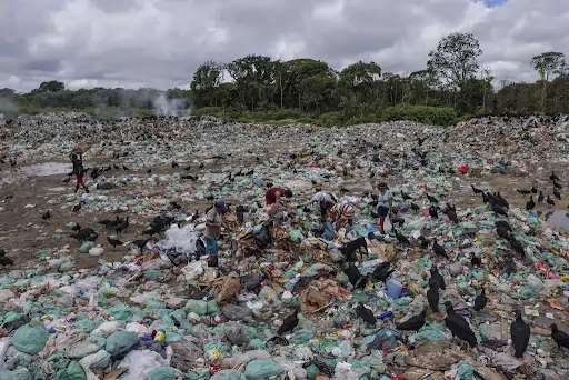 Lixão à céu aberto no meio da floresta Amazônica. Texto: Aterro sanitário, aterro controlado e lixão: qual a diferença para descarte do lixo?