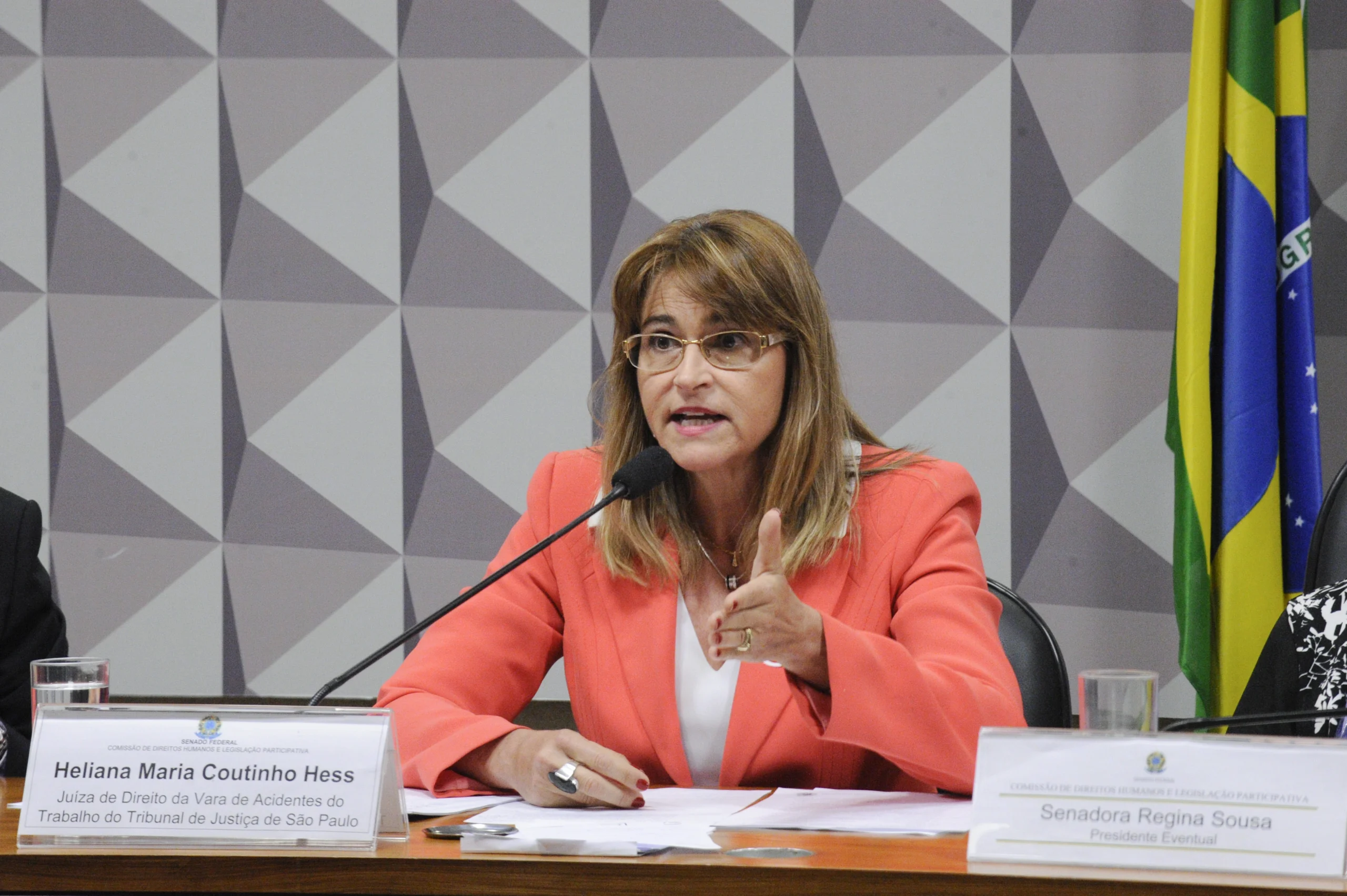 mulher loira de meia-idade, usando óculos e sentada à mesa, fala ao microfone; bandeira do Brasil ao fundo, com plaqueta de identificação, papéis e copo d’água sobre a mesa.