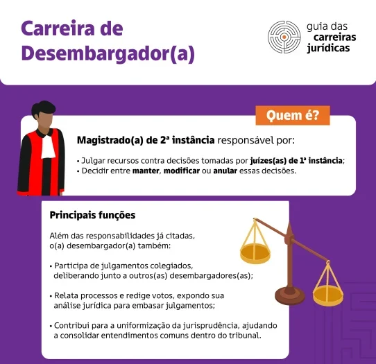 v2-_Instituto-Mattos-Filho_-Guia-das-Carreiras-Jurídicas-Infográfico-09-_1_