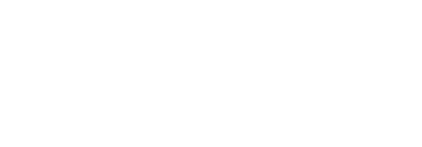 ambev voa logo